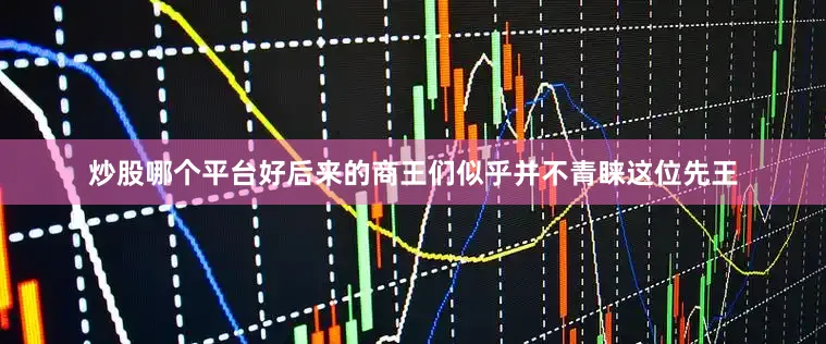 炒股哪个平台好后来的商王们似乎并不青睐这位先王