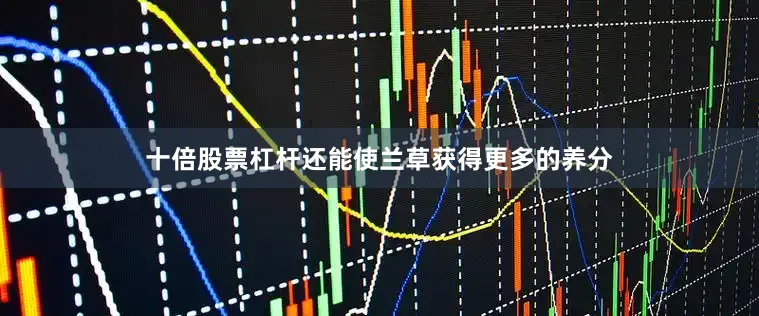 十倍股票杠杆还能使兰草获得更多的养分