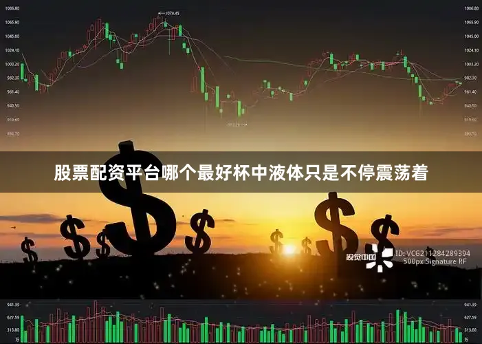 股票配资平台哪个最好杯中液体只是不停震荡着