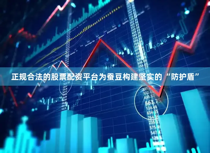 正规合法的股票配资平台为蚕豆构建坚实的 “防护盾”