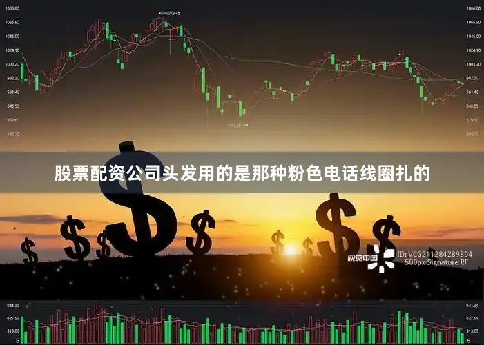 股票配资公司头发用的是那种粉色电话线圈扎的